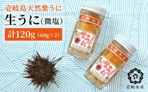 Ej Ej VRɁI  2{ZbgiYEjv 120g ssty򐅎Yz[JBR006] 28000 28000~茧s28000ECYCJE^REEj