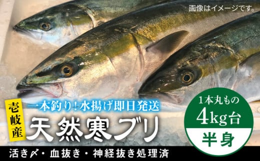 y116`3͂z򓇎YVRui{ۂ̃TCY4L̔gubNj ssty򓇁@Cz[JBS006] Ԃ Ԃ u  hg Ԃ 37000 37000~  ̂ v