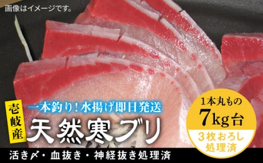 򓇎YVRui7LE3낵j ssty򓇁@Cz[JBS012] Ԃ Ԃ u  hg Ԃ 77000 77000~茧s77000ECYN