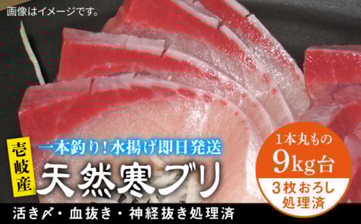 򓇎YVRui9LE3낵j ssty򓇁@Cz[JBS030] Ԃ Ԃ u  hg Ԃ 113000 113000~茧s113000ECYN