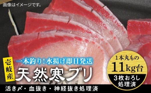 򓇎YVRui11LE3낵j ssty򓇁@Cz[JBS032] Ԃ Ԃ u  hg Ԃ 145000 145000~茧s145000ECYN