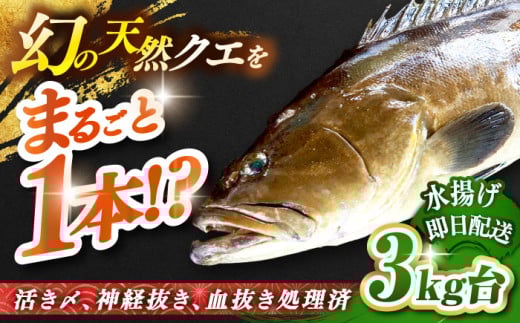 VRNGi3LEۂ́j ssty򓇁@Cz[JBS041] NG  hg Ԃ  220000 220000~ 22~茧s220000ECYN