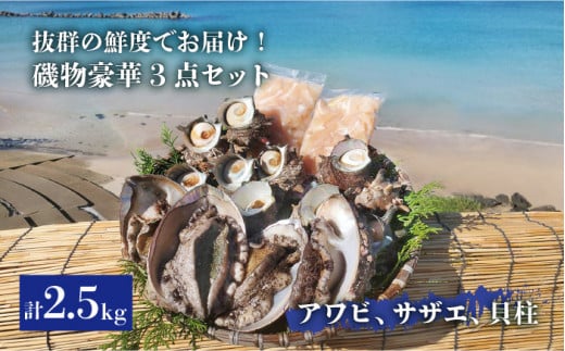 镨3_ZbgiAr/TUG/ARLLjsstyۘaYz[JCJ008] Ar   Ar    TUG L L ARL hg hg hg ① 