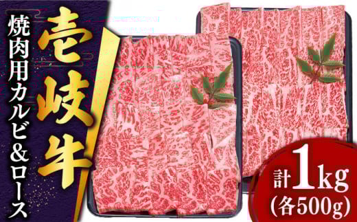  ē i[XEJrje500g sstyy쑝Xz[JDD003]   Ă [X Jr BBQ Ă Ԑg 51000 51000~茧s51000