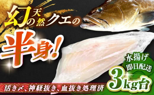 VRNGi{ۂ̃TCY 3LEgj [JBS095] 140000 140000~ 14~茧s140000ECYL