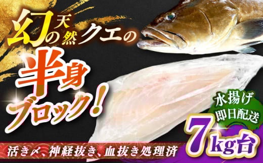 VRNGi{ۂ̃TCY 7LEgubNj [JBS097] 280000 280000~ 28~茧s280000ECYL