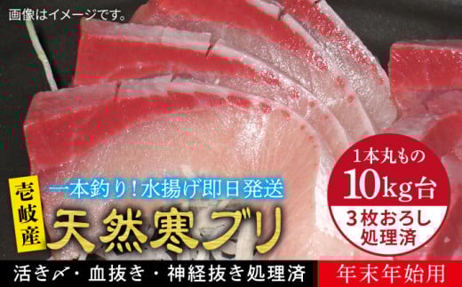 yΕΏہzyNzy11/1`1/15͂ NNnpzVR ui10LE3낵j ssty򓇁@Cz[JBS037] Ԃ Ԃ u  hg Ԃ 310000 310000~ 31