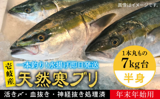 yΕΏہzyNzy11/1`1/15͂ NNnpzVR ui{ۂ̃TCY7L̔gubNj ssty򓇁@Cz[JBS021] Ԃ Ԃ u  hg 