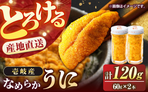 yNzʌI Ej  ̐ 60g×2{ZbgsstyKYz [JEH001]    Ej  Ej _O TLEj  r rl Mtg  30000 30000~