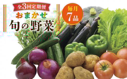 yS3ցz{̖ 7isstys_Ƌgz [JBO044]  ₳ { G Zbg lߍ킹 Yn VN T_ X[W[  30000 30000~茧s30000؁E