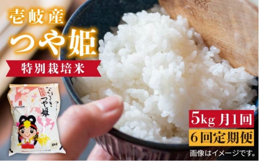 yS6ցzY P 5kg sstys_Ƌgz [JBO057]    ͂  ٓ V H 퉷    102000 102000~茧s102000āEp