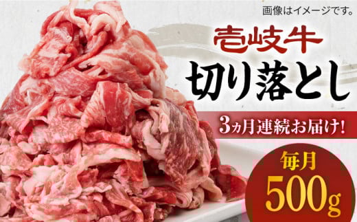 yS3ցzsA4`A5Nt򋍐؂藎Ƃ 500g [JBO062]   ؗ Ă Ԃ  ؂ א؂ Ԑg  39000 39000~茧s39000