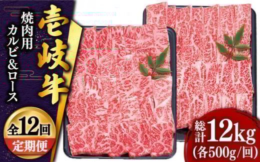 yS12 z ē i[XEJrje500g sstyy쑝Xz   Ă [X Jr BBQ Ă Ԑg [JDD017] 612000 612000~茧s612000