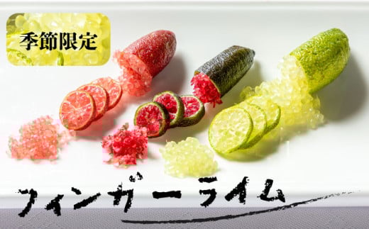 ys\ztBK[C 50g sstyt@[z [JEJ001] C t[c ʕ VN 18000 18000~茧s18000ʕEt[c̑ ʕEt[c