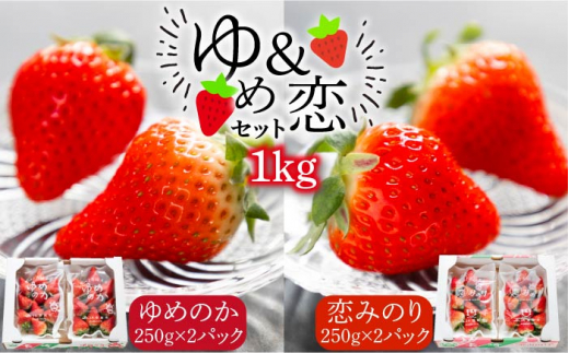 ys\zߗZbgi߂̂Ê݂jv1kgy2026N2ȍ~zsstyԁz[JEO001]  C`S  t[c ʕ X[W[ W ߂̂ ݂̂ Zbg H