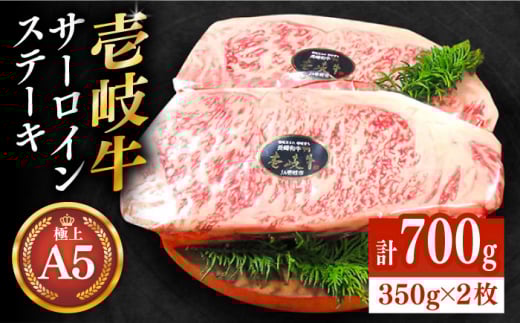 ɏ  A5N T[CXe[L 350g×2ijsstyKRAZY MEATz[JER002] T[C Xe[L 󏭕 Ԑg  A5 ̂ v[g Mtg  51000 51000~茧s51000