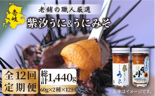 yS12ցzɃZbg i  ɂ݂ j e60g [JAO026] 240000 240000~茧s240000ECYCJE^REEj