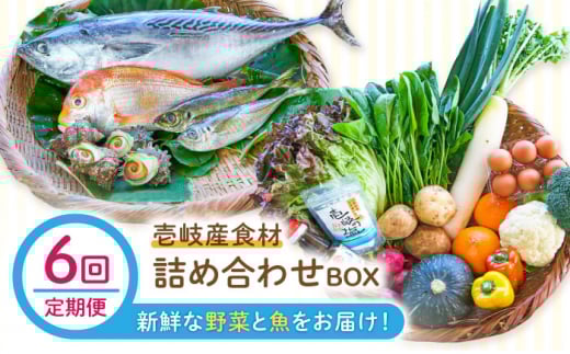 yS6ցzYHދlߍ킹BOXu؂Ƌv [JBF025] lߍ킹   N Zbg 252000 252000~茧s252000؁Ê̑ 