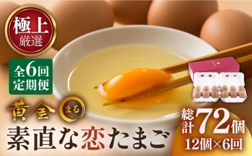 yS6ցzyɏ㌵Izfȗ܂EZ 72 sstysӂ邳ƏЁz [JAA005] 12   ܂ { ʎq Mtg Y ܂ koganeEmaru 48000 48000~茧