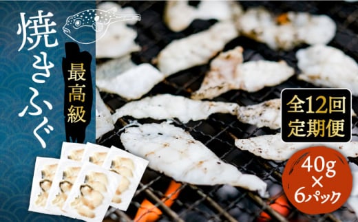 yS12ցzĂӂ 40g×6pbN sstyȂ͂z[JDT053] ӂ tO ͓ Ƃӂ gtO Ăӂ Ăӂ ĂtO ܂  c}~ 336000 336000~茧s336000E