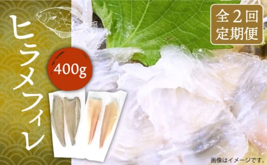 yS2ցzqtB 400gi1E1kgOjsstyȂ͂z [JDT069] q Ђ tB  hg hgubN hg ؐg Ⓚ CN CN 52000 52000~ Ⓚz茧