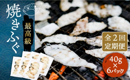 yS2ցzĂӂ 40g×6pbN sstyȂ͂z[JDT074] ӂ tO ͓ Ƃӂ gtO Ăӂ Ăӂ ĂtO ܂  c}~ 56000 56000~茧s56000ECY