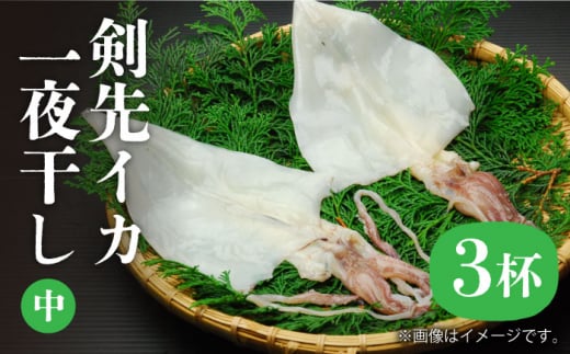 CJ 銱ij3tsstyЃ}VEz[JEW006]  CJ 悢 Zbg ܂ 銱 CY  hg 17000 17000~茧s17000ECYCJE^RE