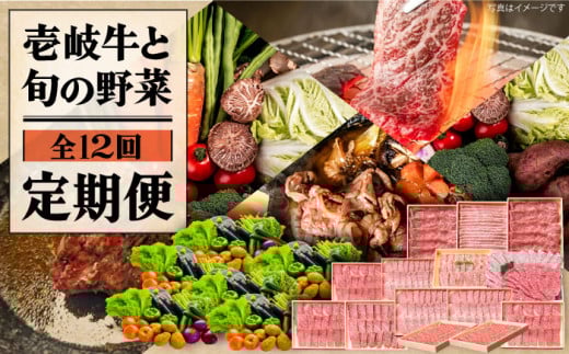 yS12ցzsA4`A5Nt򋍂Ə{̖ؒցsstys_Ƌgz [JBO079]   јa  { lߍ킹 ґ BBQ 315000 315000~茧s315000