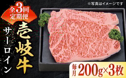 yS3ցz I  T[CXe[L 200g×3sstyzz[JDL067]   a јa  uh  ~ Xe[L  T[C j 123000 123000~