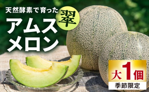 ys\zypz AXuv 1 y2026N6{ȍ~zsstytbVCgz[JAZ007]  ߂  AX ʕ  ʎ t[c