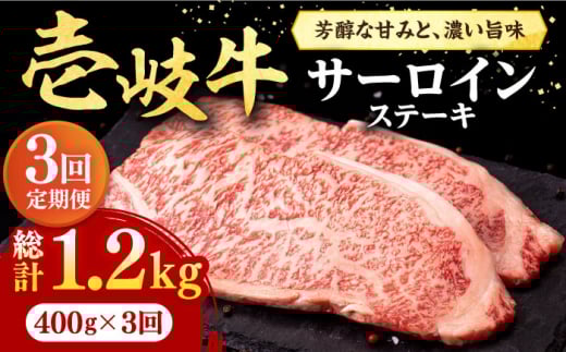 yS3ցz  T[CXe[L 400gi200g×2jsstyЃC`}z[JFE017]  Ԑg    T[C Xe[L ē Ă BBQ 78000 78000~茧s78000