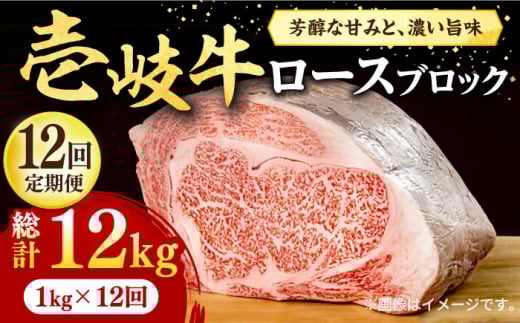 yS12ցz  [XubN 1kgi500g×2jsstyЃC`}z [JFE050]  Ԑg ē Ă ubN    ubN Xe[L BBQ 696000 696000~茧