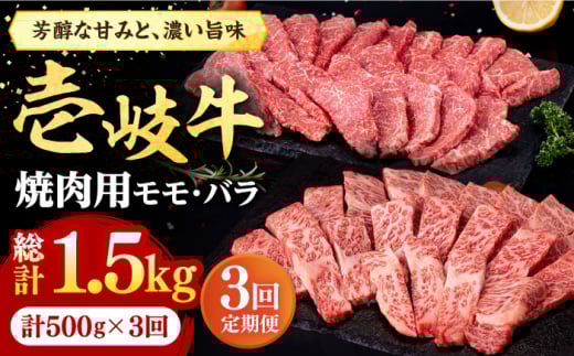 yS3ցz  ēp Eo 500gsstyЃC`}z[JFE066]    ē Ă  o Jr BBQ Ԑg Ⓚz 63000 63000~茧s63000