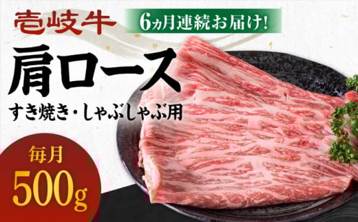 yS6ցz sA4`A5Nt [X 500giĂEԂԗpjsstys_Ƌgz[JBO102]   Ă Ԃ  ؂ BBQ Ԑg  162