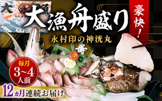 yS12ցz  M ui̐_ۑ務Mv 3`4lOssty_Yz hg hg CN N CY [JFI004]茧s276000ECYN