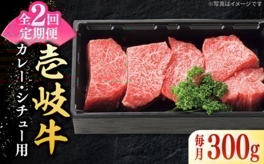 yS2ցz I  ˓ 300giJ[EV`[pjsstyzz  јa uh J[ V`[ Ԑg `}L ύ ubN Y B j [JDL126]