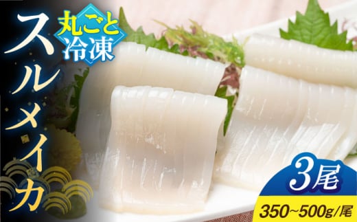 yⓀz XCJ 3i350`500g/jsstynnYz CJ  G XCJ  hg hg hg CN L Ⓚz Yn [JAQ004]茧s11000ECYC