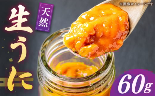 ys\zY  60g×1{y2026N5ȍ~zsstynnYz Ej  Ej _O  TLEj CN  ①z [JAQ005]茧s17000ECYC