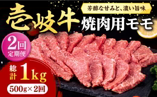 yS2ցz  ēp  500gsstyЃC`}z   ē  BBQ [JFE124]茧s48000