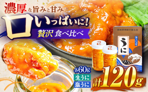   Hה׃ZbgsstyВˌzTLEj Ej Ej CY CN Ej  _O  Ⓚz [JDR024]茧s31000ECYCJE^REEj