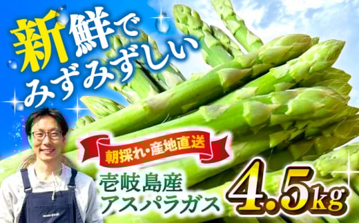 ys\zyAXpKX_ƂIzYAXpKX4.5kgy2026N3ȍ~zsyܔ_z Y ①z Yn ̂ VN [JGI001]茧s35000