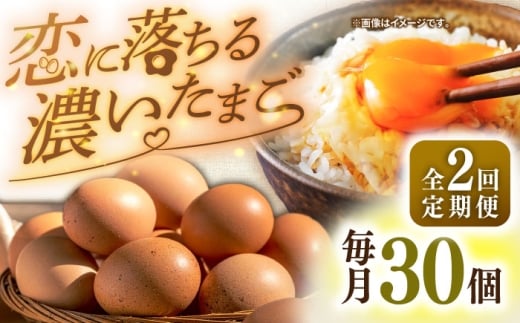 yS2ցzI fȗ܂ 30 ssty܂̂܂z   ܂ { ʎq Mtg Y  ܂ ̂  [JAP018]茧s20000Ei
