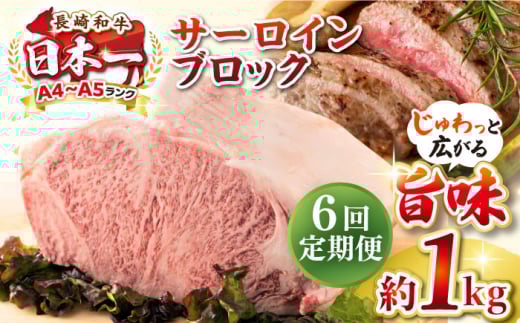 【全6回定期便】【A4〜A5ランク】長崎和牛 サーロインブロック 約1kg《壱岐市》【株式会社MEAT PLUS】 肉 牛肉 黒毛和牛 サーロイン ステーキ ブロック ご褒美 ギフト 贈答用 ご褒美 冷凍配送