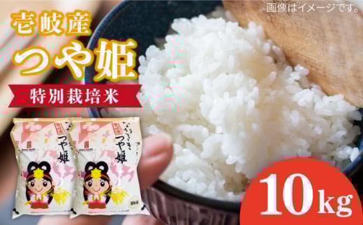 Y P 10kg sstys_Ƌgz    ٓ 퉷 [JBO143] 31000 31000~茧s31000āEp