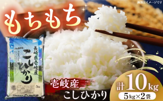 Y Ђ 10kg sstys_Ƌgz    ٓ 퉷 [JBO145] 31000 31000~茧s31000āEp