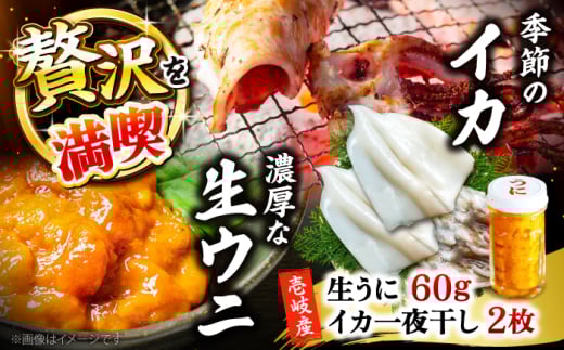 G߂̃CJ銱2{Ej60g sstyВˌz [JDR025]茧s26000ECYCJE^REEj