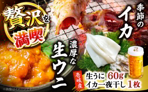 G߂̃CJ銱1{Ej60g sstyВˌz [JDR026]茧s21000ECYCJE^REEj