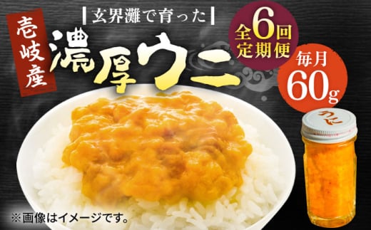 yS6ցzY Z Ej60gsstyВˌzTLEj CY CN Ej  _O  [JDR031]茧s96000ECYCJE^REEj