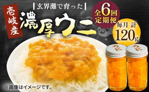 yS6ցzY Z Ej 60g ×2{sstyВˌzTLEj CY CN  _O  [JDR035]茧s186000ECYCJE^REEj