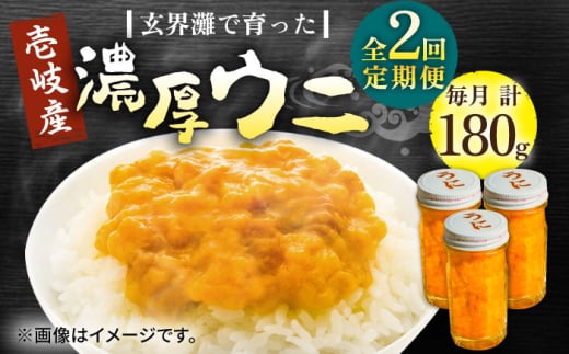 yS2ցzY Z Ej 60g ×3{sstyВˌzTLEj CY CN  _O  [JDR037]茧s82000ECYCJE^REEj